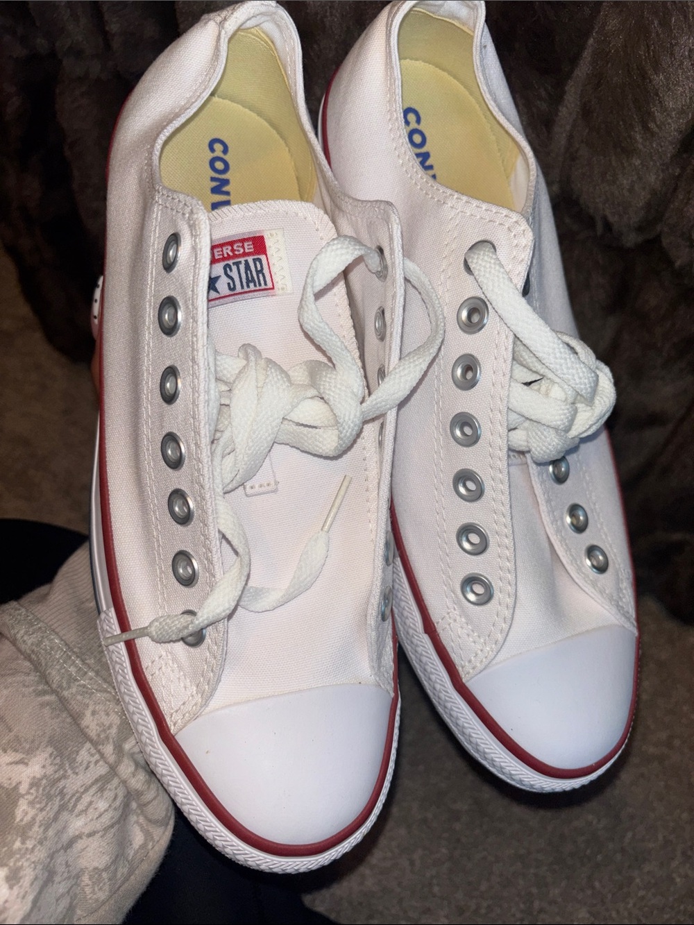 Converse All Star Low Top Sneakers